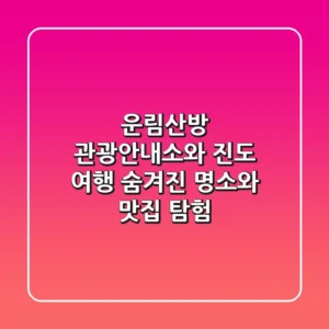 운림산방 관광안내소와 진도 여행: 숨겨진 명소와 맛집 탐험